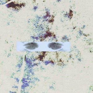 Luna piena - kodama